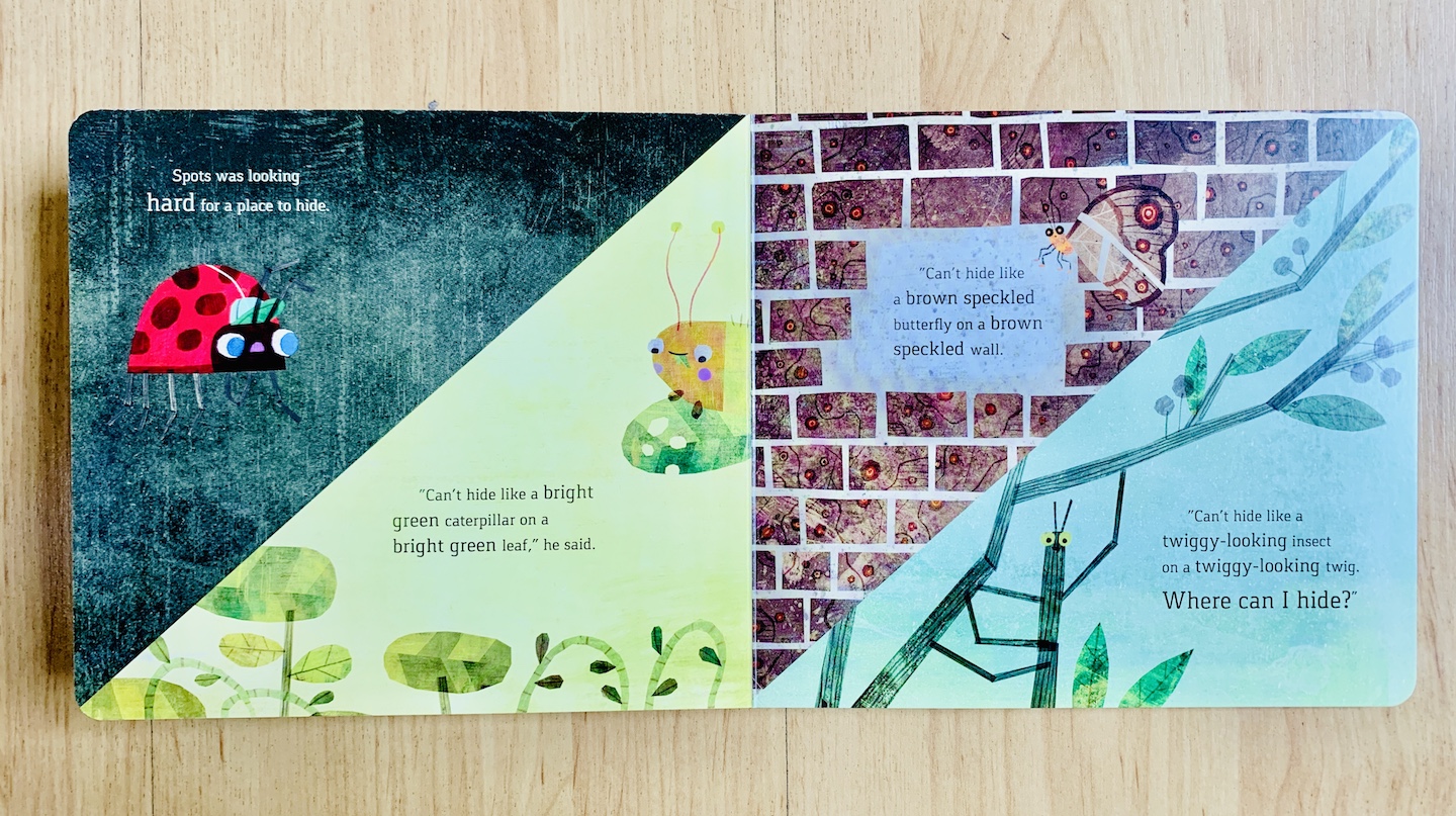 Themed Book Collection: Board Books for Littles – MaiStoryBook